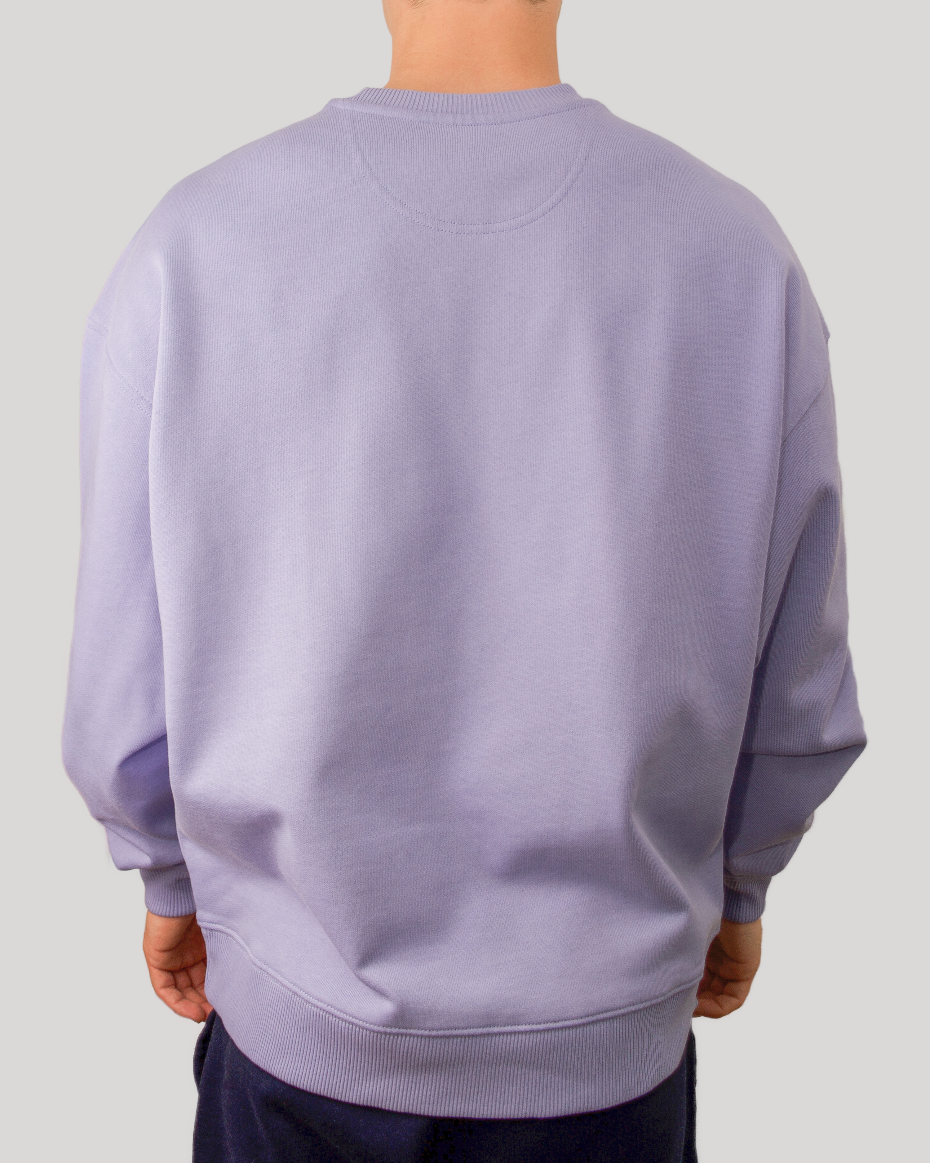 DREAMBIGFLYHIGH Sweater (One Tone)