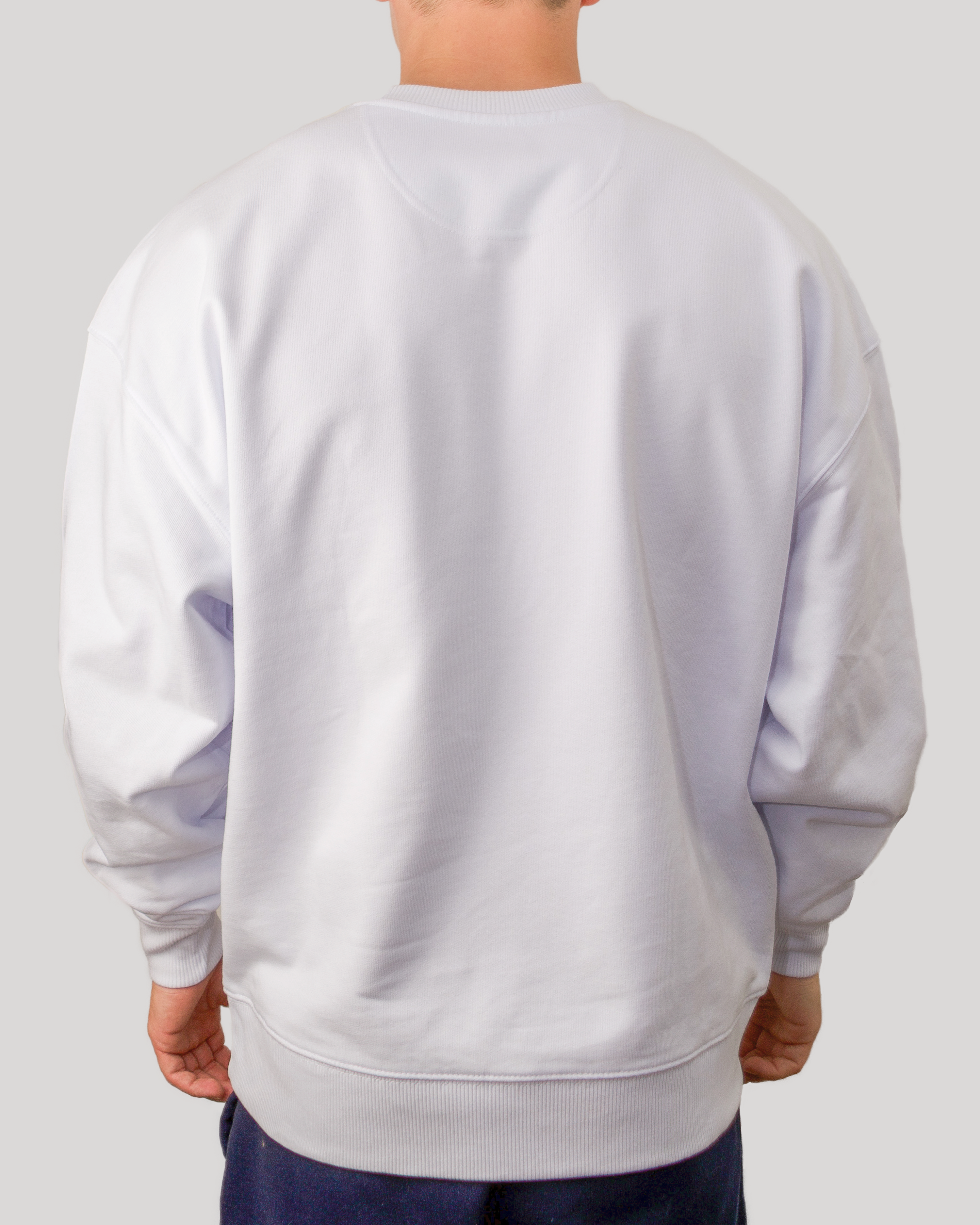 DREAM BIG FLY HIGH Hoodie (White)